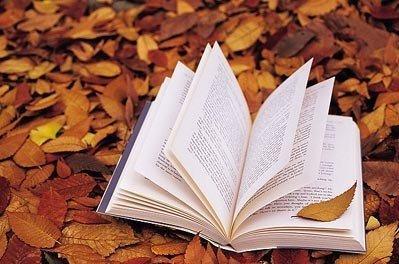 绵阳专业的高级韩语培训机构推荐一览